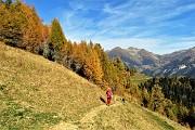 26 Sul sent. 117 dal Forcolino al Monte Colle larici in splendido look autunnale